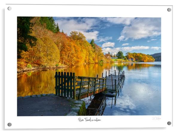 River Tummel in  autumn Acrylic by JC studios LRPS ARPS