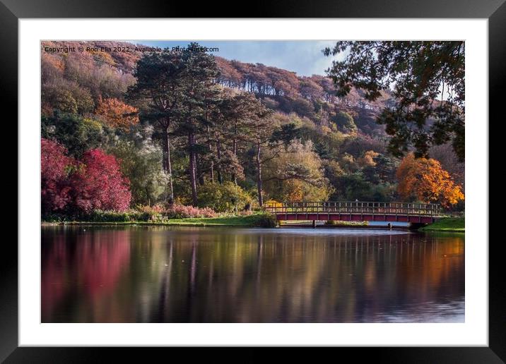 Reflections of Autumn Framed Mounted Print by Ron Ella