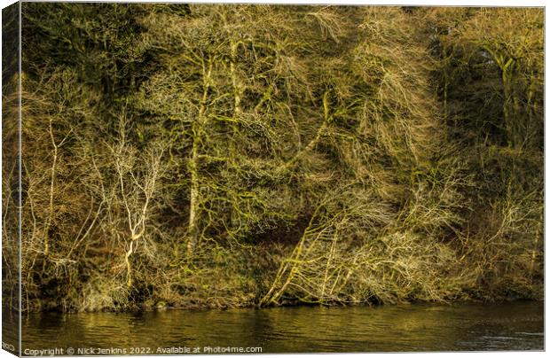 Winter Trees at Pentwyn Reservoir Brecon Beacons D Canvas Print by Nick Jenkins