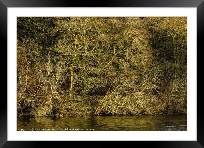 Winter Trees at Pentwyn Reservoir Brecon Beacons D Framed Mounted Print by Nick Jenkins