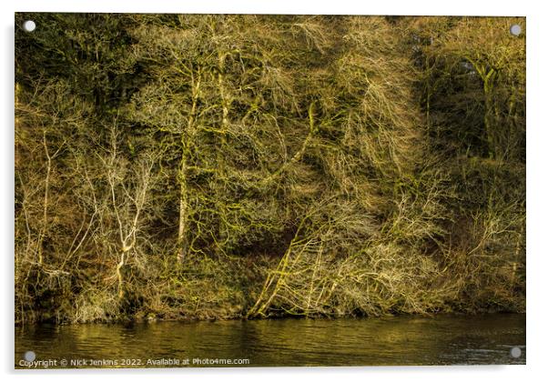 Winter Trees at Pentwyn Reservoir Brecon Beacons D Acrylic by Nick Jenkins