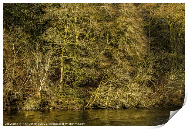 Winter Trees at Pentwyn Reservoir Brecon Beacons D Print by Nick Jenkins