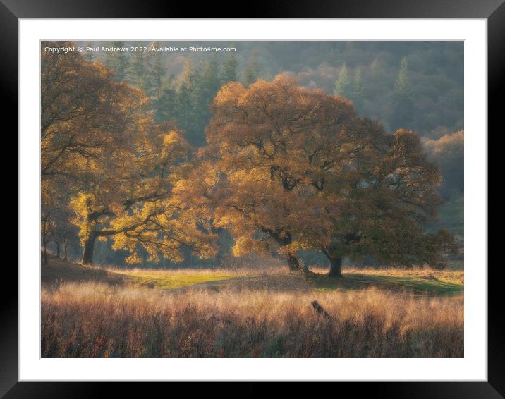 Brathay Gold Framed Mounted Print by Paul Andrews