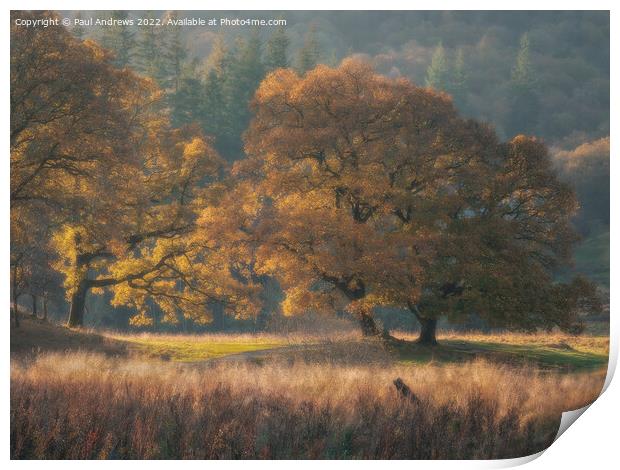 Brathay Gold Print by Paul Andrews