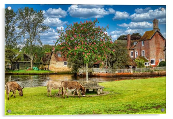 Serene Donkeys in Beaulieu Village Acrylic by Roger Mechan