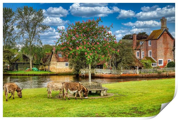 Serene Donkeys in Beaulieu Village Print by Roger Mechan