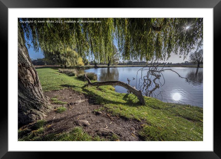 Under the shade of the willow tree Framed Mounted Print by Kevin White