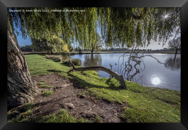 Under the shade of the willow tree Framed Print by Kevin White