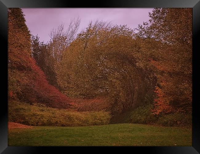 Autumn landscape  Framed Print by Rachael Smith