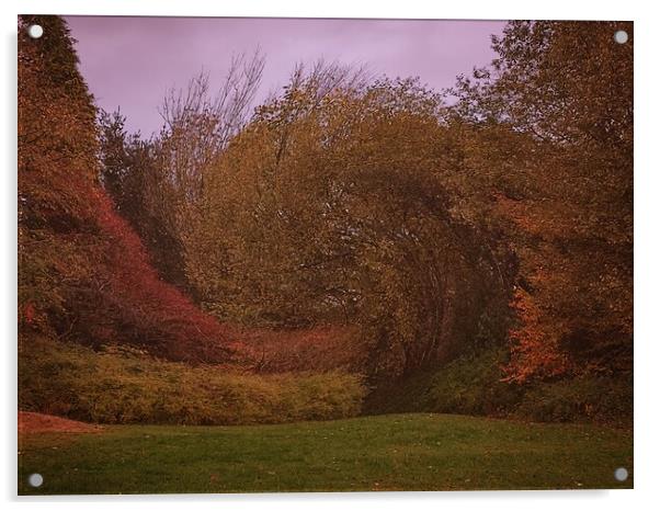Autumn landscape  Acrylic by Rachael Smith