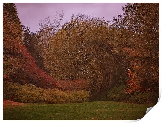 Autumn landscape  Print by Rachael Smith