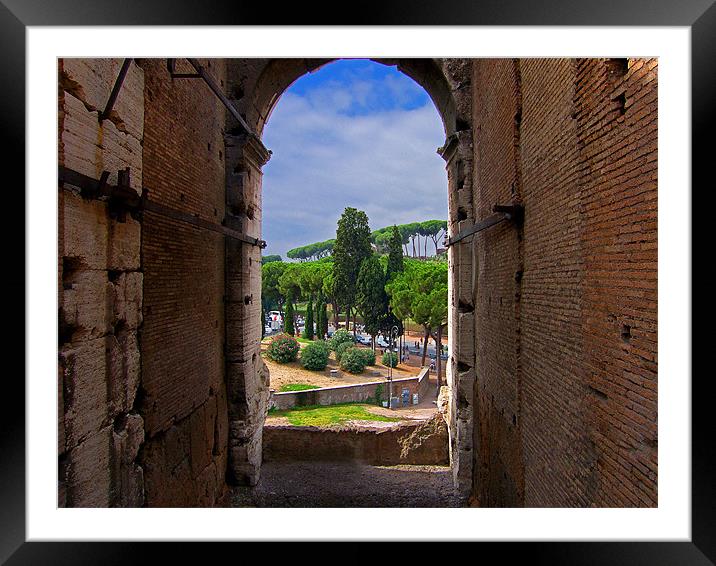 View from the Colosseum Framed Mounted Print by Tom Gomez