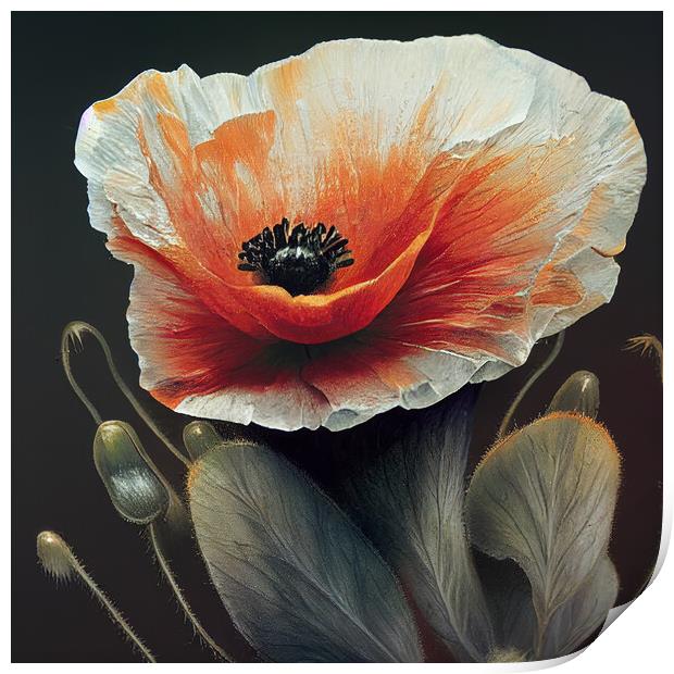 A Poppy Print by Picture Wizard