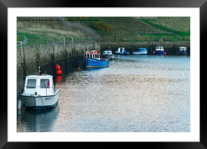 Seaton moored Framed Mounted Print by andrew saxton