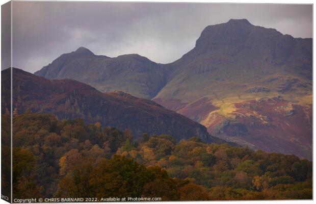 The Langdale Pikes Canvas Print by CHRIS BARNARD