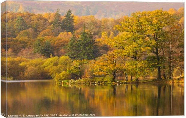 Autumn at Rydal Water Canvas Print by CHRIS BARNARD