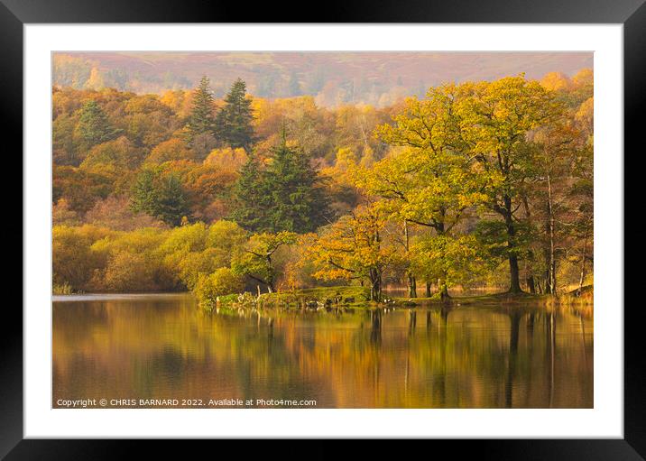 Autumn at Rydal Water Framed Mounted Print by CHRIS BARNARD