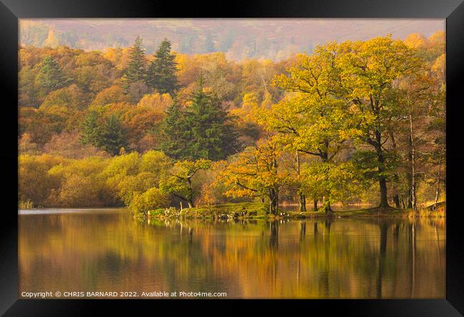 Autumn at Rydal Water Framed Print by CHRIS BARNARD