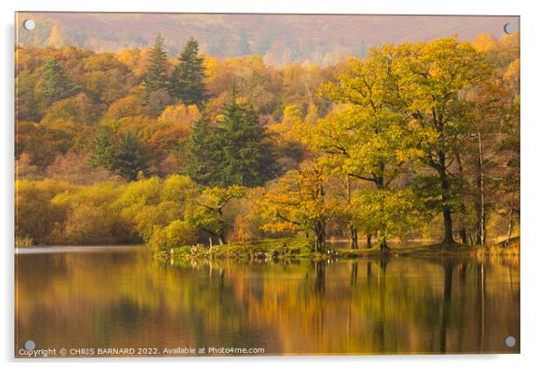 Autumn at Rydal Water Acrylic by CHRIS BARNARD