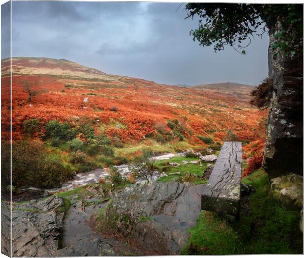 Bench above the River Lyd, Dartmoor, Devon.  Canvas Print by Maggie McCall