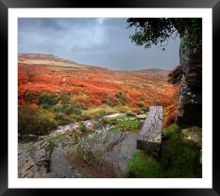 Bench above the River Lyd, Dartmoor, Devon.  Framed Mounted Print by Maggie McCall