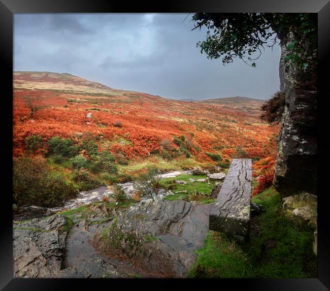 Bench above the River Lyd, Dartmoor, Devon.  Framed Print by Maggie McCall