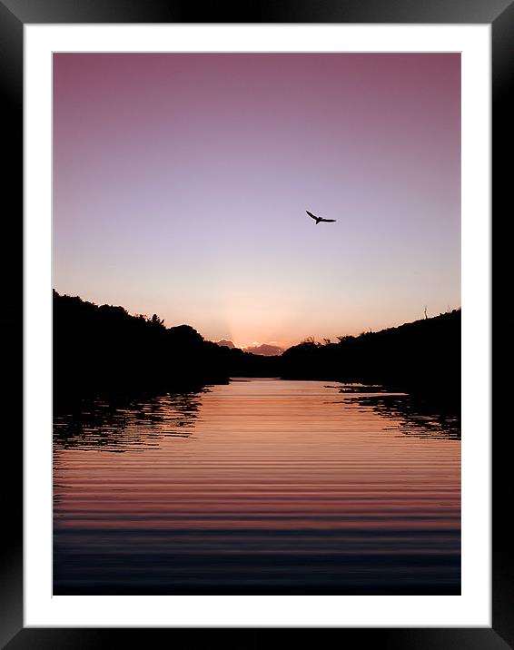 fly away home Framed Mounted Print by Heather Newton