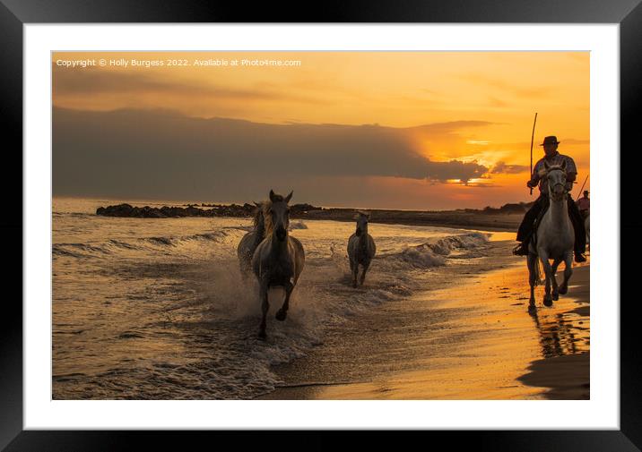 Sunset Serenity: Camargue Horses and Guardians Framed Mounted Print by Holly Burgess