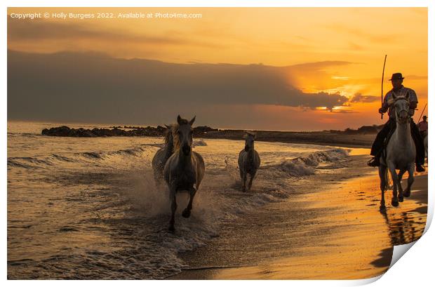 Sunset Serenity: Camargue Horses and Guardians Print by Holly Burgess