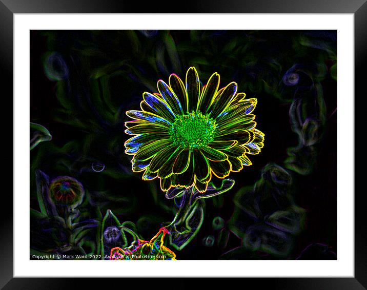 Neon Flora Framed Mounted Print by Mark Ward