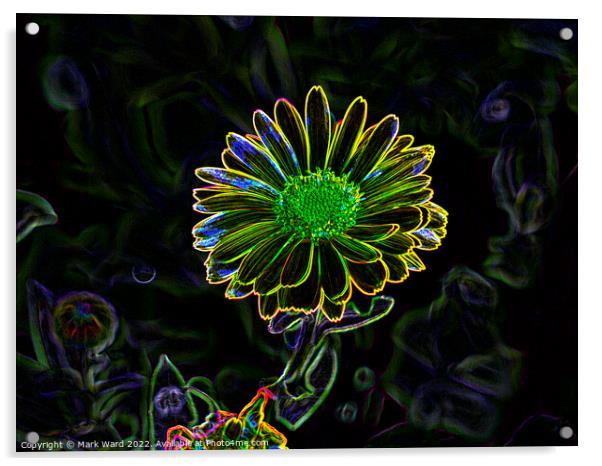 Neon Flora Acrylic by Mark Ward