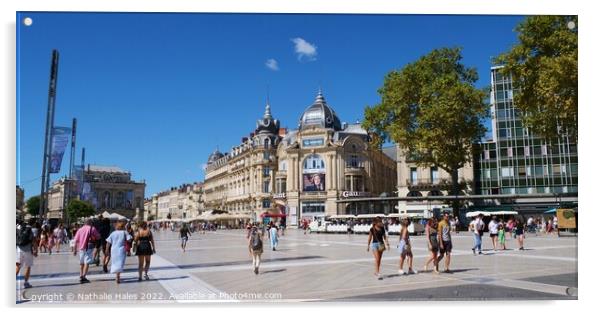 Place de la Comedie, Montpellier Acrylic by Nathalie Hales