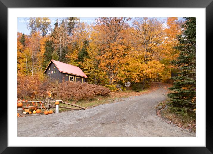 Autumn falls in Quebec, Canada,  Framed Mounted Print by Holly Burgess