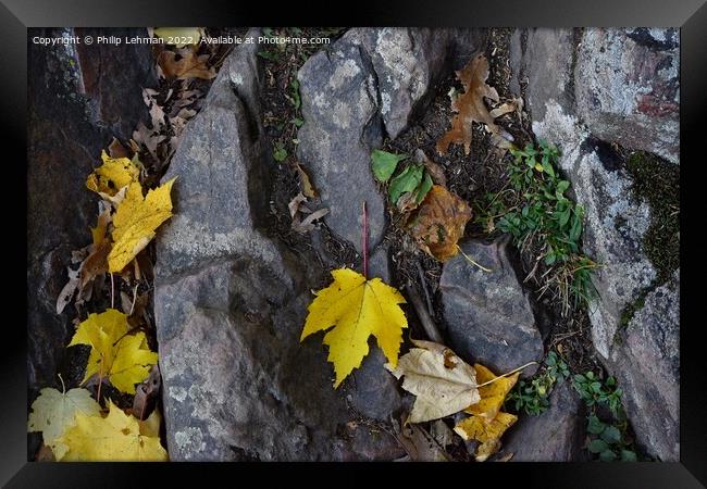 Devil's Lake October 18th (106A) Framed Print by Philip Lehman