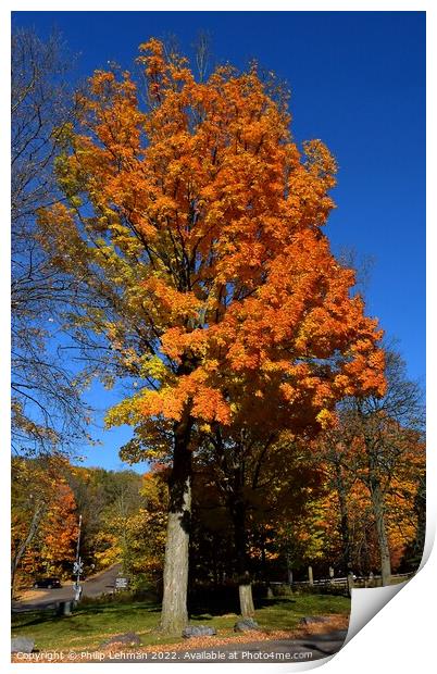 Devil's Lake October 18th (250A) Print by Philip Lehman