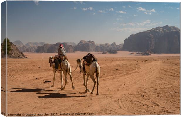 Bedouin Riding a Dromedary Camel in Wadi Rum Canvas Print by Dietmar Rauscher