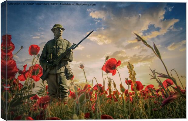 Lest We Forget  Canvas Print by Alison Chambers