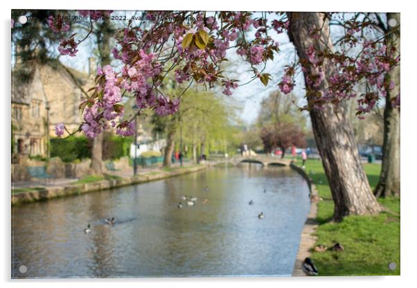 Spring in Cotswolds village Bourton-on-the-Water Acrylic by Christopher Keeley