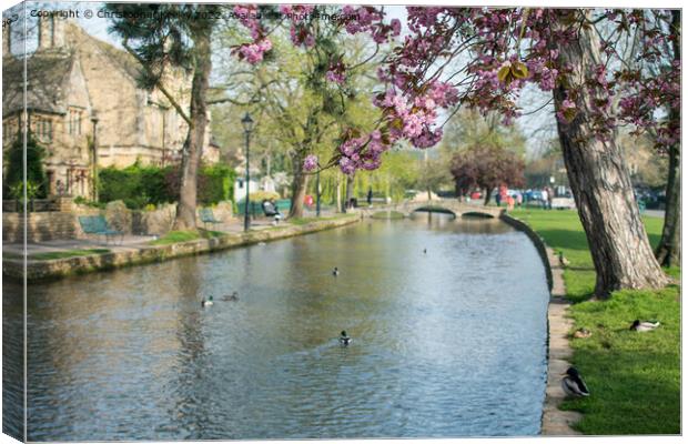 Spring in Cotswolds village Bourton-on-the-Water Canvas Print by Christopher Keeley