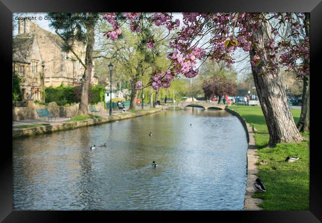 Spring in Cotswolds village Bourton-on-the-Water Framed Print by Christopher Keeley