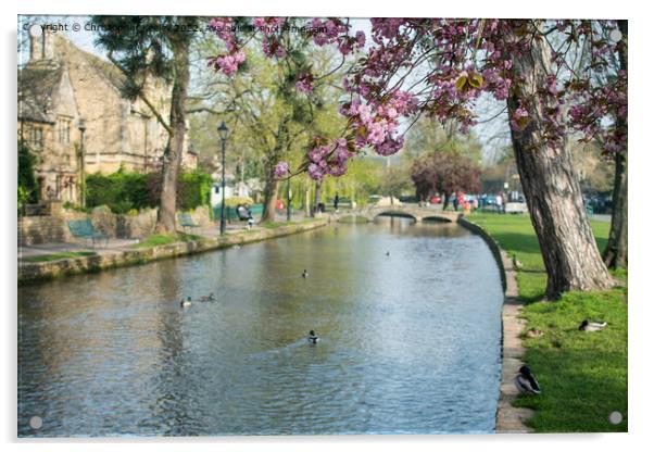 Spring in Cotswolds village Bourton-on-the-Water Acrylic by Christopher Keeley