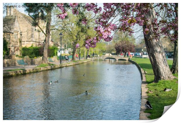 Spring in Cotswolds village Bourton-on-the-Water Print by Christopher Keeley