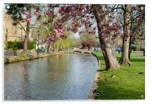 Spring in Bourton-on-the-Water Acrylic by Christopher Keeley