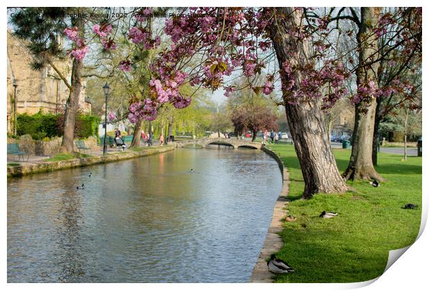 Spring in Bourton-on-the-Water Print by Christopher Keeley