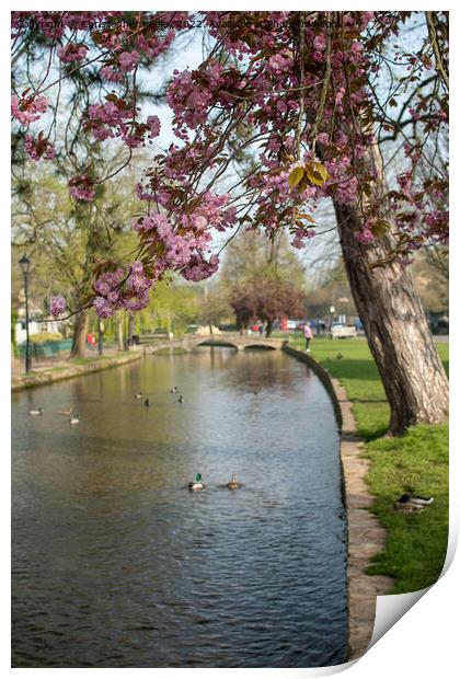 Spring in Bourton-on-the-Water Print by Christopher Keeley