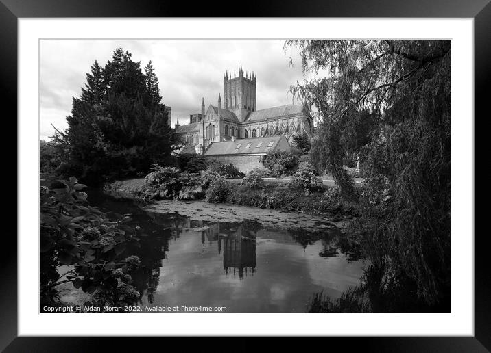  Cathedral at Wells, Somerset, England Framed Mounted Print by Aidan Moran