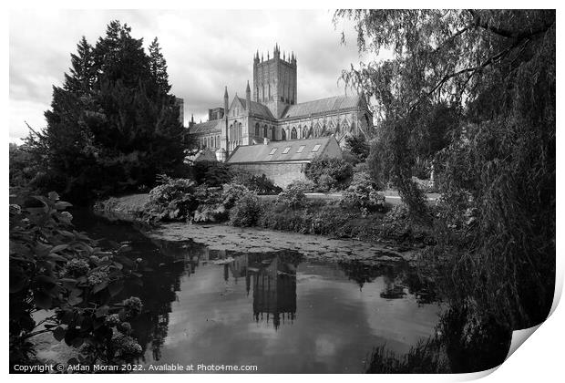  Cathedral at Wells, Somerset, England Print by Aidan Moran