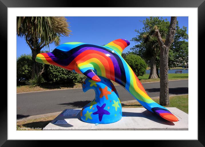 Rainbow Dolphin  Framed Mounted Print by Aidan Moran
