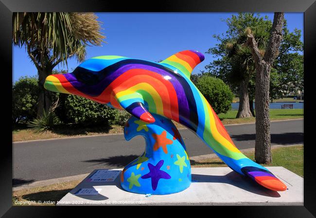 Rainbow Dolphin  Framed Print by Aidan Moran