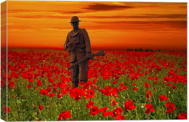 We Will Remember Them Canvas Print by Martyn Arnold